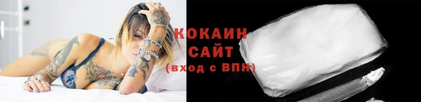 не бодяженный Гусев