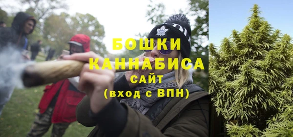 альфа пвп Гусиноозёрск